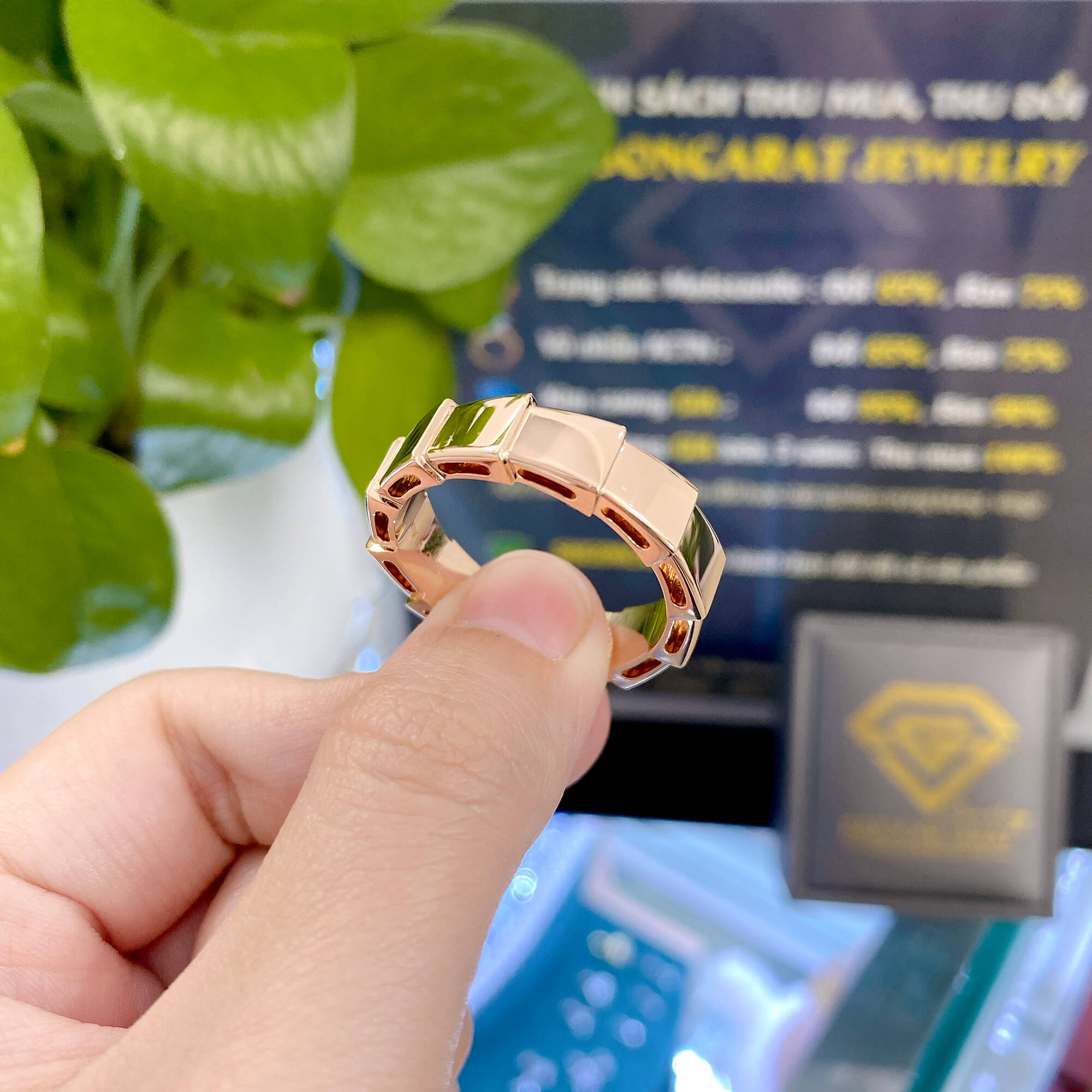 Bộ Trang Sức Sang Trọng – Ngôn Ngữ Của Vẻ Đẹp Bất Tận
