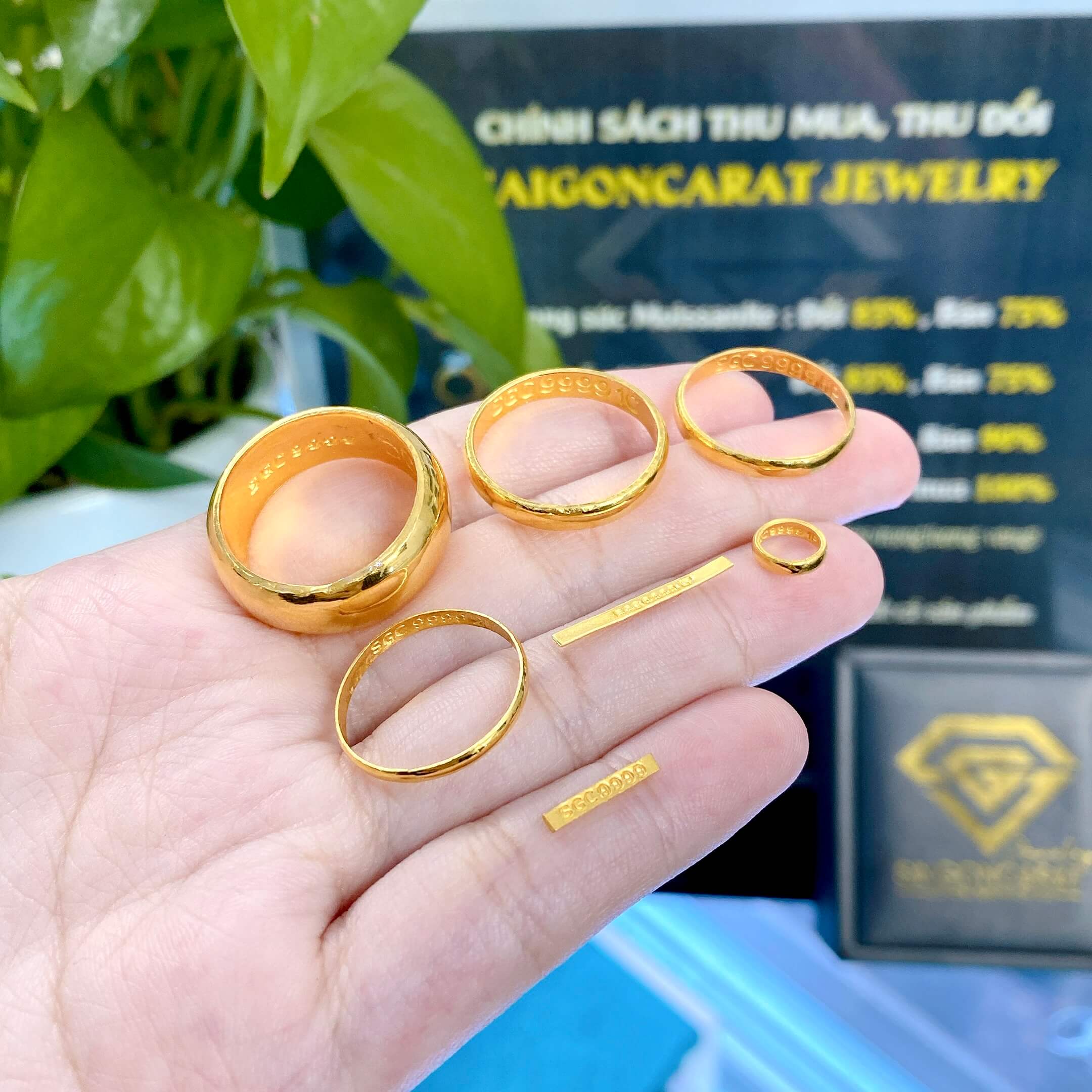 1 Phân Vàng Có Thể Tạo Nền Tảng Tài Chính Như Thế Nào